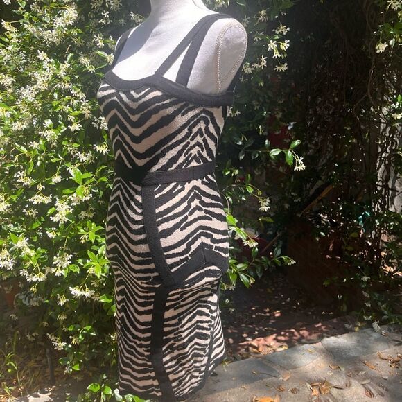 FOREVER 21 ANIMAL PRINT ZEBRA KNIT BODYCON DRESS M - Picture 5 of 11